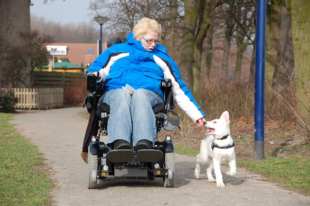 Astrid van der Helm traint een puppy voor haar werk